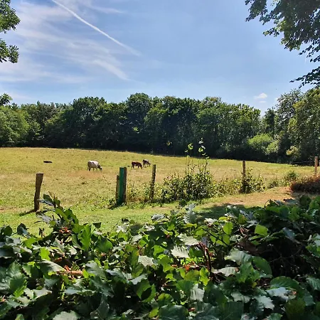 Slotsgaardens Hus Nyaraló Jels