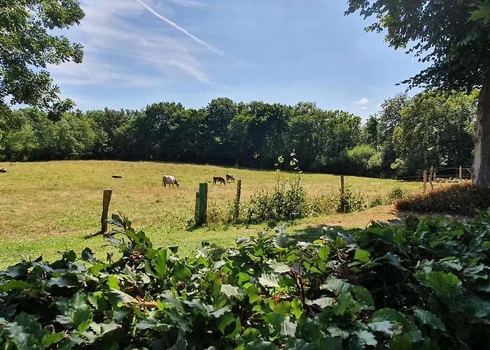 Slotsgaardens Hus Feriehus Jels